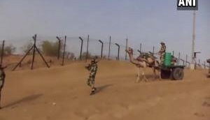 Electric fence to keep India-Pak border in check