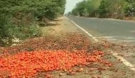 MP farmer forced to throw 100 crates of tomatoes