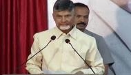 State developing sans Centre's support: Chandrababu Naidu