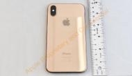  Apple iPhone X, Gold colour variant leaked by the US website; here see the picture