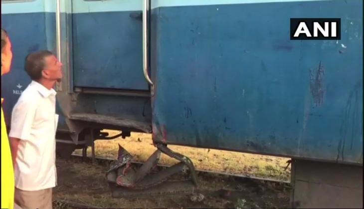 Maurya express