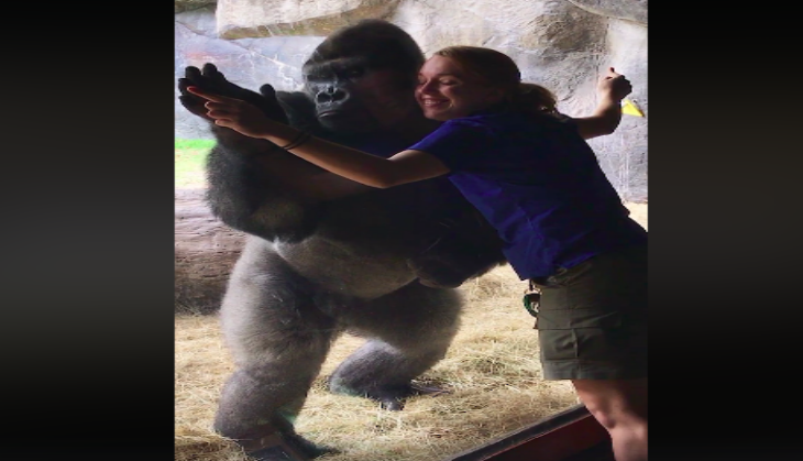 Gorilla and Woman