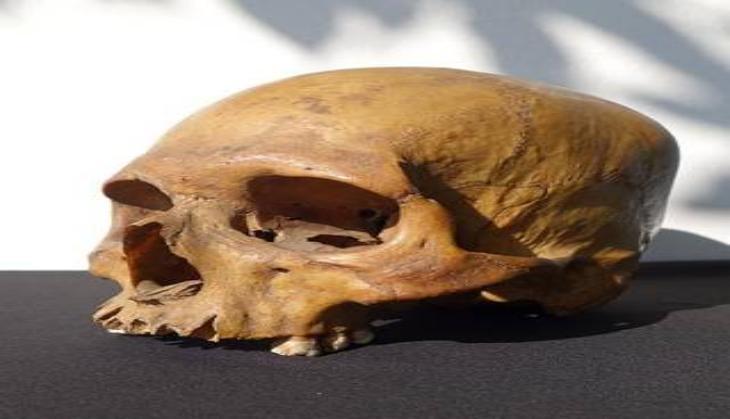 Skull Of Alam Beg