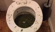 What were you high on? When Marijuana growers try to flush it in toilet, this is what happened: