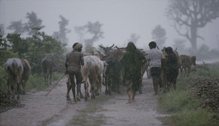 monsoon
