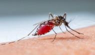 Meerut reports 33 new Dengue cases