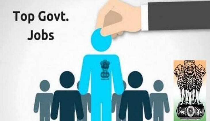 govt job