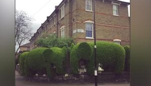 Interesting! London-based man raises money for charity by shaping hedges into elephants
