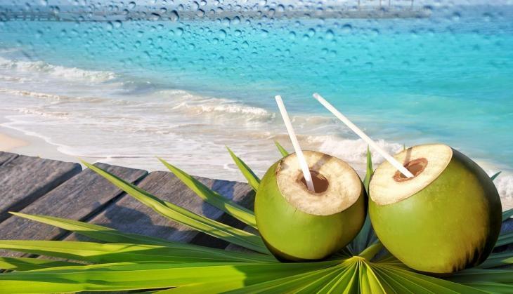 Coconut