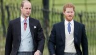 Prince Harry asks brother Prince William as to be his best man at royal wedding to Meghan Markle