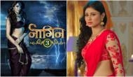 Naagin 3 actress Karishma Tanna's these Instagram posts will prove that she is the best replacement of Mouni Roy