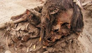 Shocking! Skeletal of largest child sacrifice in history unearthed in Peru; spine-chilling pics inside 