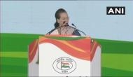 Let us all pledge to save our nation from the violent and hateful forces : Sonia Gandhi