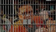 Chhota Rajan sentenced for life in Journalist J Dey murder case