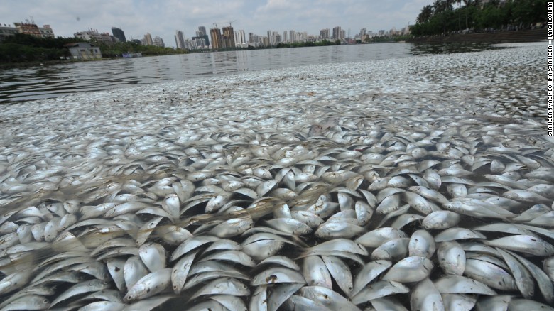  Gulf of Oman's 'Dead Zone' is expanding and is devoid of oxygen, says researchers
