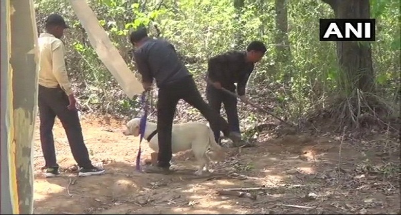 Chhattisgarh: Two IEDs planted by Naxals defused