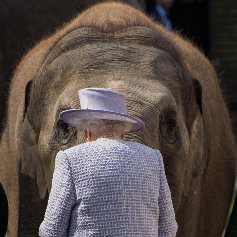 Unseen pictures of Royal family taken by members of the public
