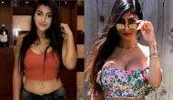 Don't compare actresses with Mia Khalifa or other pornstars just because of skin shows in our films, says Yashika Aannand
