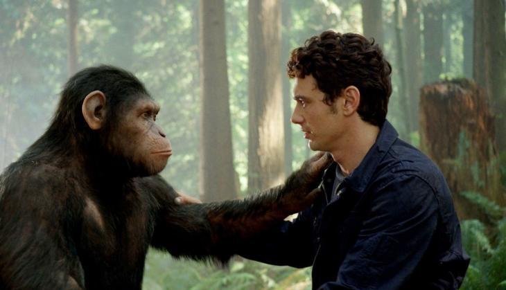 Chimpanzee