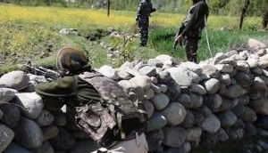 Pakistan intruder held along Indo-Pak border