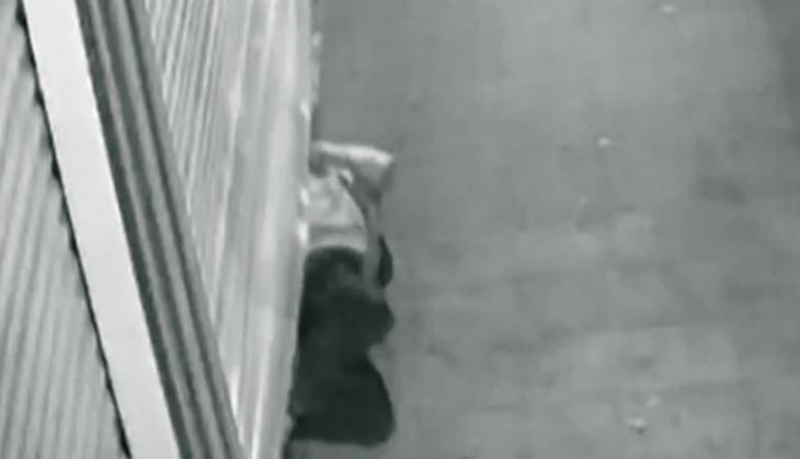 Thief squeezes through rolling shutter stealing 35 lakh rupees jewelryThief squeezes through rolling shutter stealing 35 lakh rupees jewelry