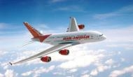 Delhi-bound Air India flight  suffers bird hit