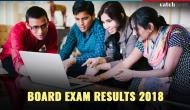 CBSE Class 12th Result 2018: It's Official! Intermediates students can check their results at 12:30 pm