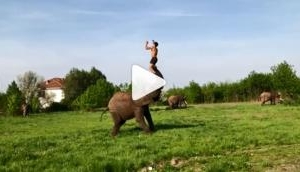 Viral Video: This somersault on an elephant will remind you of 'Baahubali' epic scene
