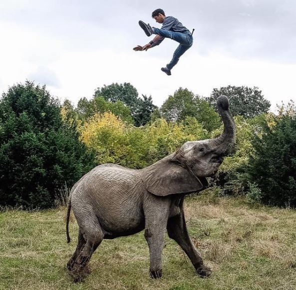 Three persons injured in attack by wild elephants