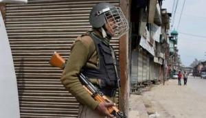 Burhan Wani death anniversary: Centre suspends Amarnath Yatra and mobile internet snapped in Kashmir; Hurriyat leaders detained