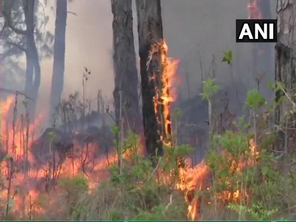 California wildfire shuts down major interstate highway