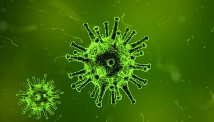 Nipah virus scare under control: Kerala Health Minister