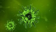 Nipah virus scare under control: Kerala Health Minister