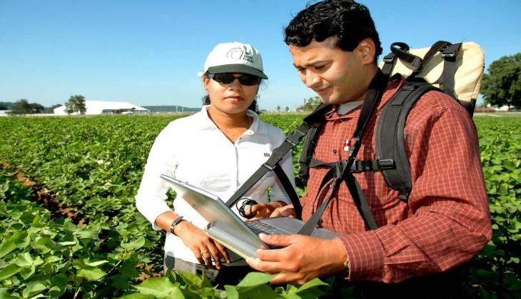 Agriculture job