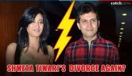 Shweta Tiwari finally opens up on divorcing husband Abhinav Kohli and having a troubled married life