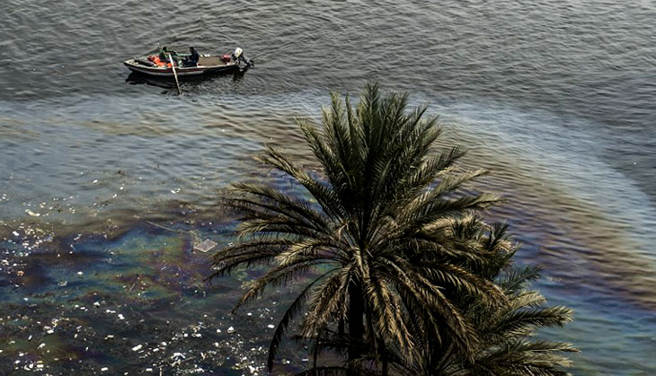 Fish scales inspire IIT Guwahati team to make membrane for cleaning oil spills