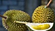 Southeast Asia's smelliest fruit: Thailand to send smelly fruit into orbit