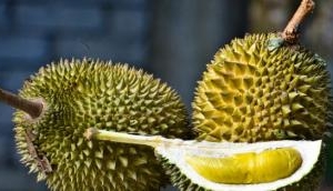 Southeast Asia's smelliest fruit: Thailand to send smelly fruit into orbit