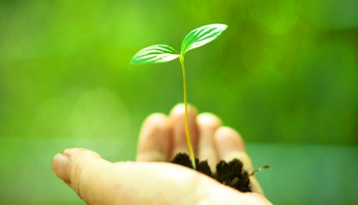 World Environment Day 2022: Small efforts every individual could put in, to make huge differences