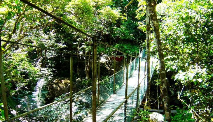 'Without tribal society, environmental protection is incomplete'