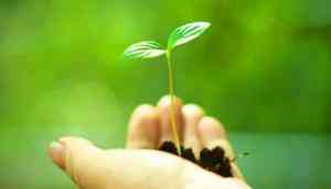 World Environment Day 2022: Small efforts every individual could put in, to make huge differences