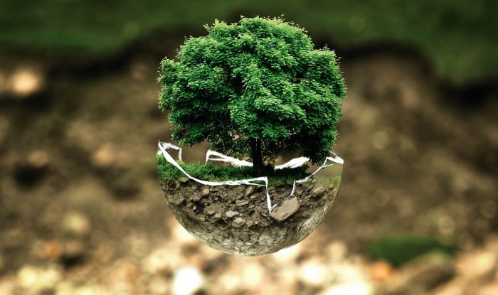 World Environment Day 2018: Host country India to focus on 'Beat Plastic Pollution' theme