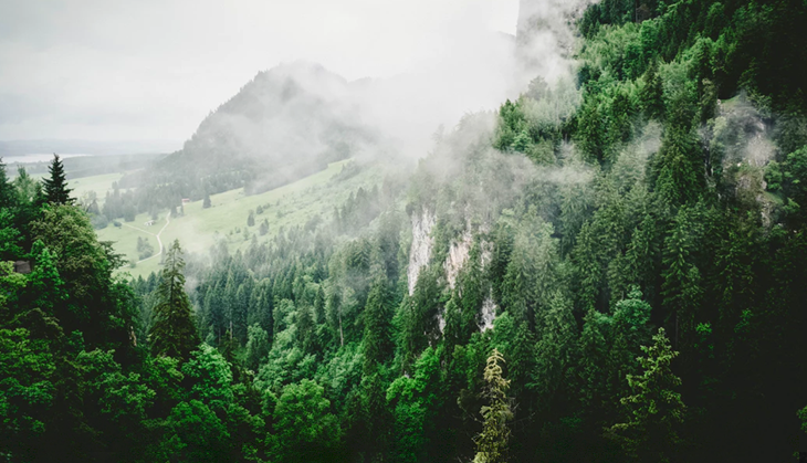 Crowdfunded campaigns are conserving the Earth’s environment