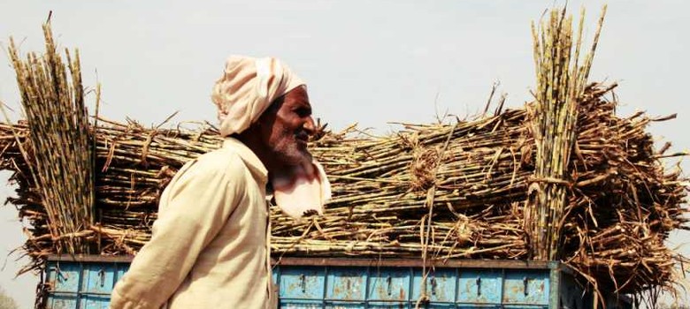 Muzaffarnagar sugar mills stop crushing cane without clearing farmers' dues