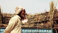 Uttar Pradesh: Sugarcane farmers discontent over delay in payment, seek govt support