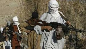 EU asks Pakistan to take 'clear and sustained' actions against terrorists