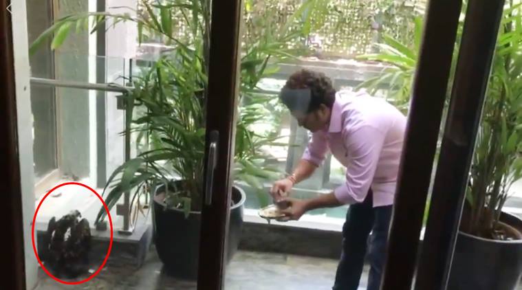 Viral: Heart-melting video of Sachin Tendulkar feeding an injured bird in his balcony will win your heart