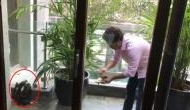 Viral: Heart-melting video of Sachin Tendulkar feeding an injured bird in his balcony will win your heart