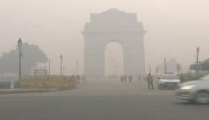 Ban construction temporarily in Delhi, air quality beyond 'severe': Environmentalist