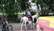 OMG! Frustrated Bengaluru techie ditches the bike and rides a horse to his last day at the office; video goes viral